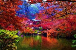 imagen de un jardin y paisaje japones