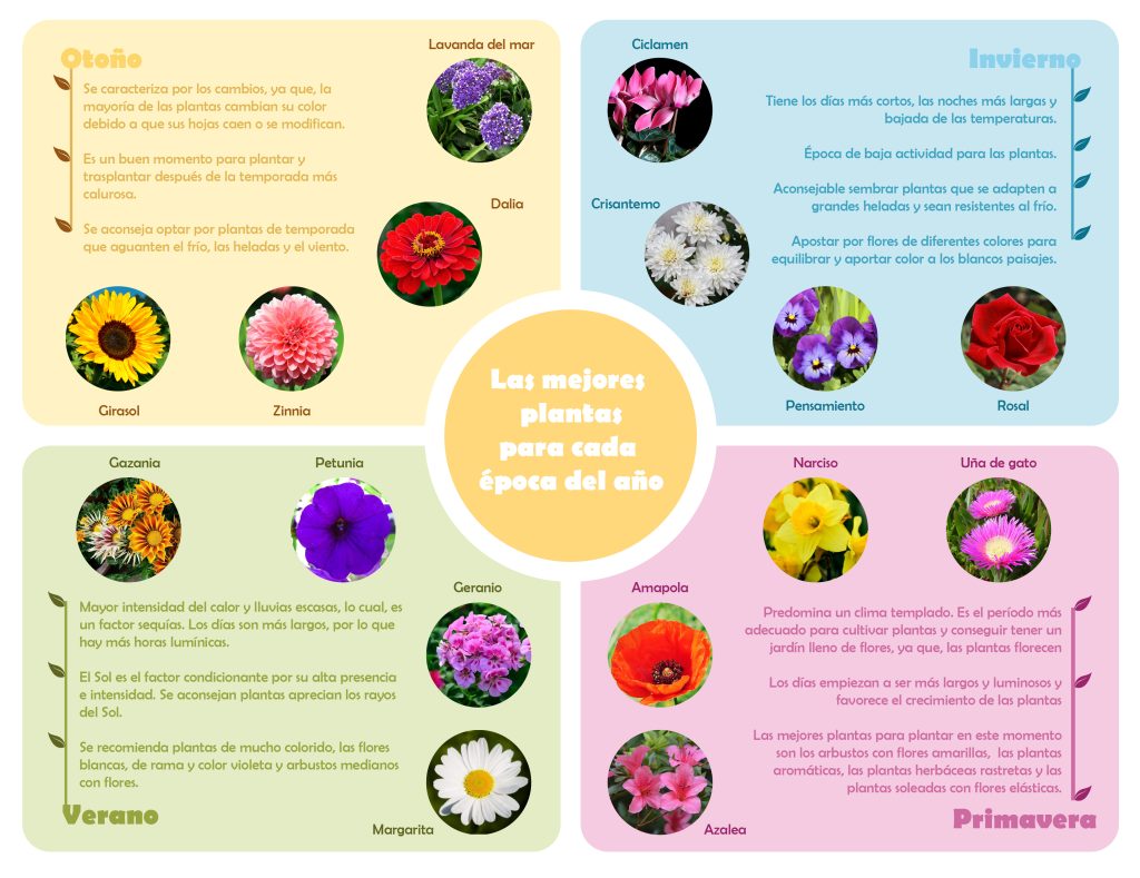 Infografía que resume las 4 estaciones del año y las plantas más recomendables para cultivar en dichas épocas.