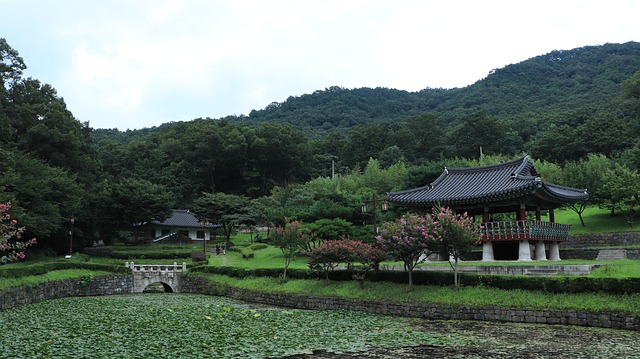 foto de una casa japonesa con jardines orientales verdes